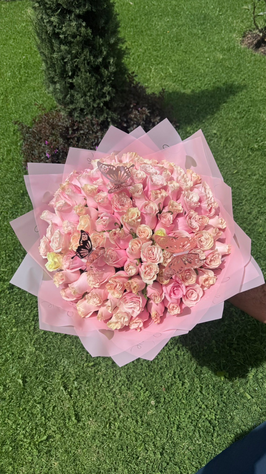 Bouquet Crimson Rose 100 rosas - Imagen 3