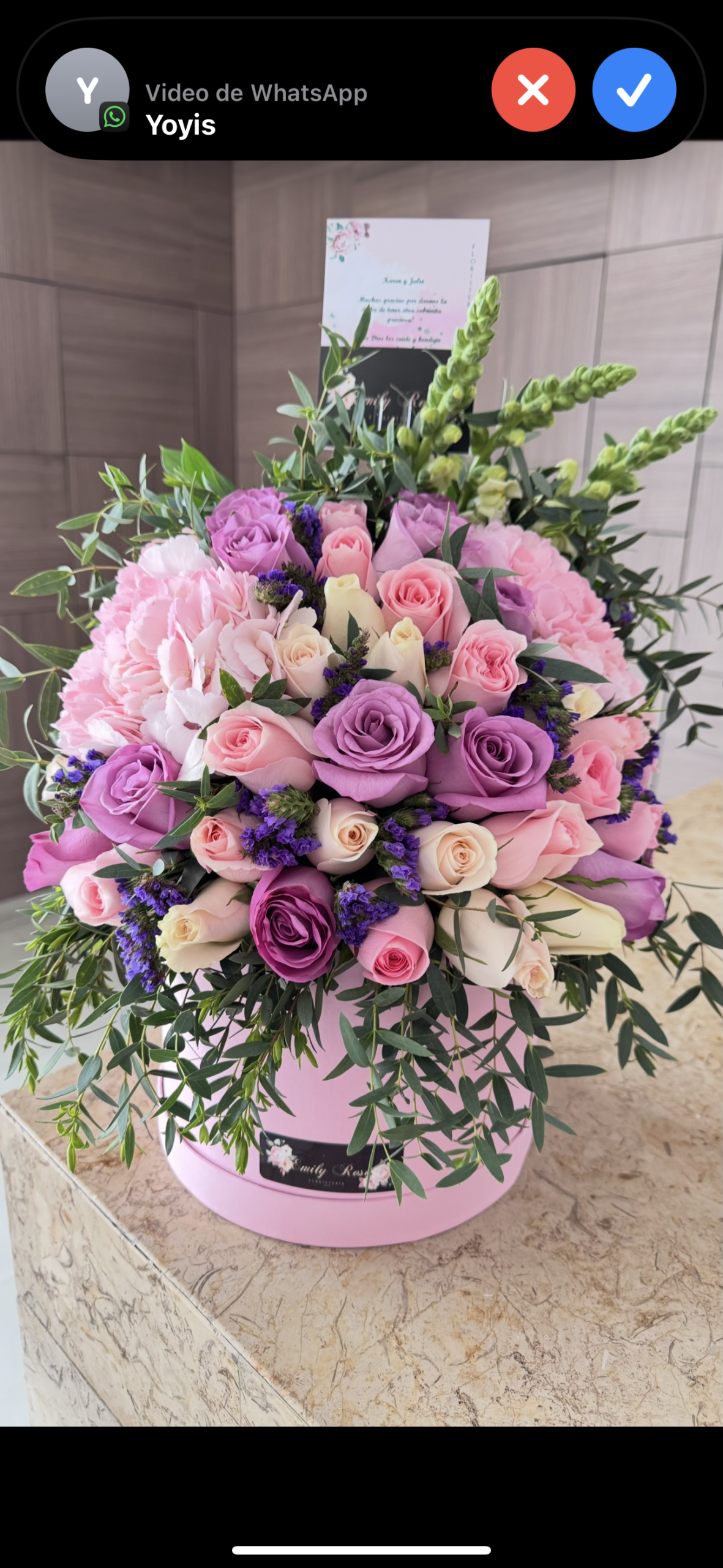 Caja Gorgeous - Imagen 3