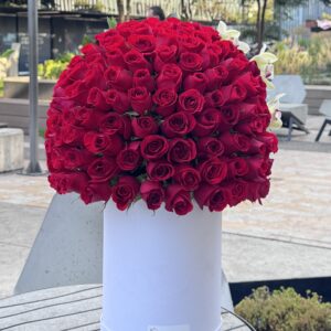 Caja Roma 120 rosas